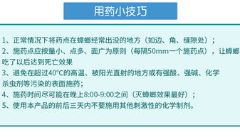 食品工廠如何徹底消滅蟑螂？專家分享實用方法與運營策略