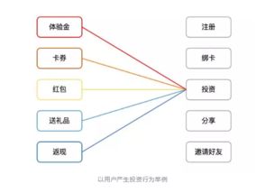 互聯(lián)網(wǎng)金融產(chǎn)品運(yùn)營全案設(shè)計(jì) 策略、步驟與實(shí)戰(zhàn)解析